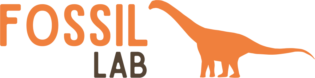 Fossil Lab